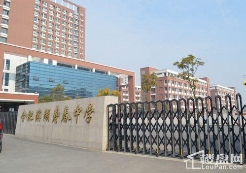 合肥高中爆料事件最新情况,真相逐步浮出水面,学生家长权益引关注